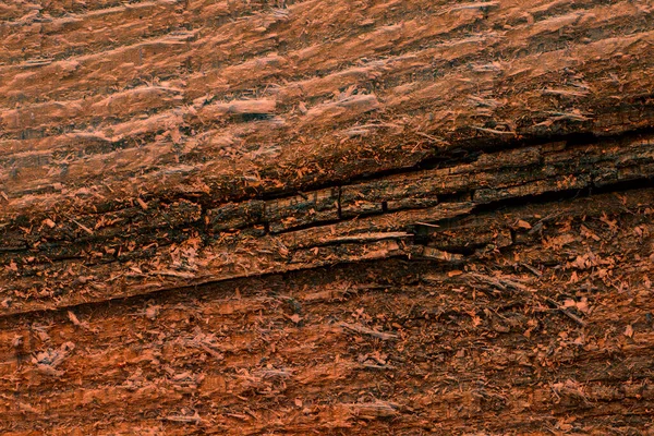 Forest Orange Texture Smooth Wood Surface Close Dark Cracks Natural — Stock Photo, Image