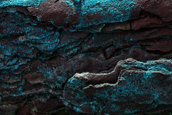 Φανταστική Υφή Ξύλου Πεύκου Ενός Φλοιού Που Καλύπτεται Μπλε Βρύα — Φωτογραφία Αρχείου