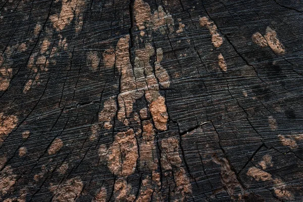 Textura Superfície Toco Com Arranhões Madeira Escura Padrões Florestais Naturais — Fotografia de Stock