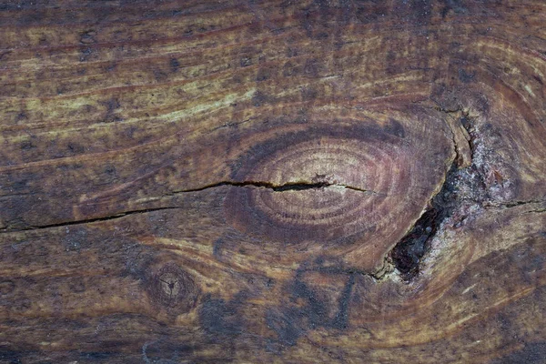 Mysterious Texture Old Oak Board Spectacular Oval Pattern Dark Cracks — Stock Photo, Image