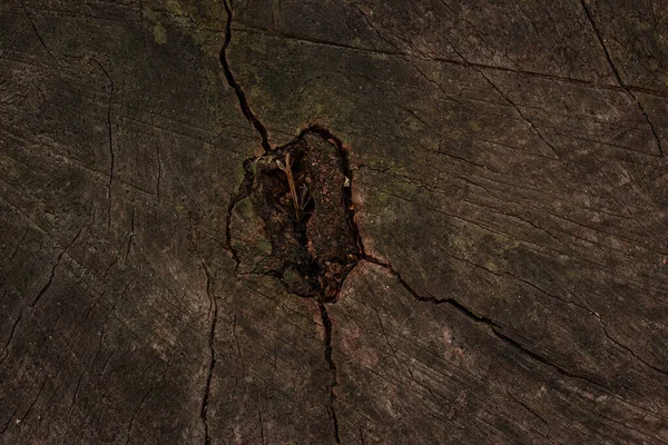 Mysteriöse Dunkle Textur Der Oberseite Eines Alten Baumstumpfes Mit Rissen — Stockfoto