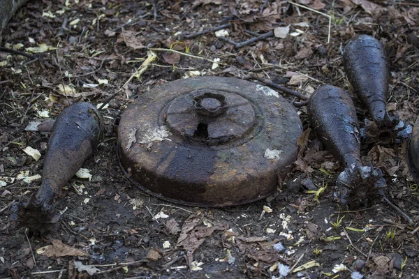 İkinci Dünya Savaşı 'ndan kalma paslı eski metal madenleri ormandaydı.