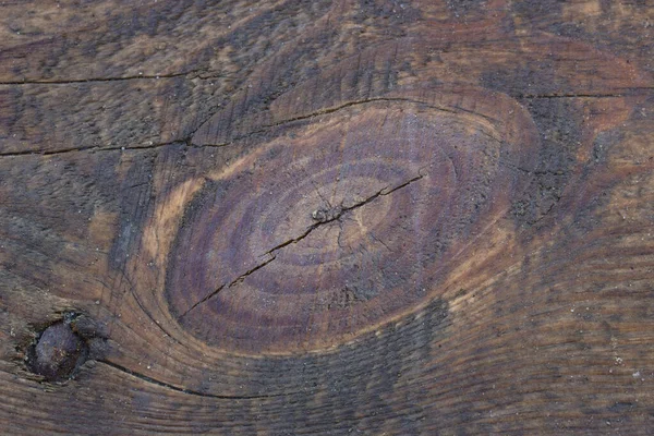 Modello Ovale Sulla Superficie Legno Quercia Primo Piano Dettagli Emozionanti — Foto Stock