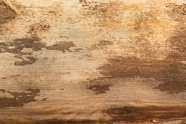 Heldere Houten Textuur Met Bruine Patronen Verlicht Door Zonlicht Achtergrond — Stockfoto