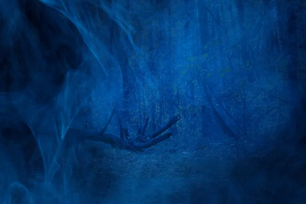 Старое Упавшее Дерево Ночном Лесу Никто Вокруг Покрытого Густым Голубым — стоковое фото
