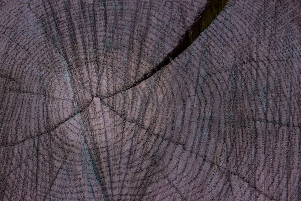 Фантастична Текстура Дерева Зрізі Круглими Візерунками Темною Тріщиною Загадковий Фон — стокове фото
