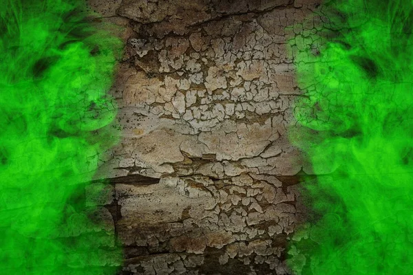 Risse Rinde Des Baumes Ist Den Rändern Mit Grünem Nebel — Stockfoto