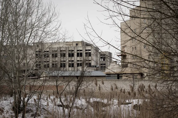 Blick Auf Eine Verlassene Fabrik Hinter Den Kahlen Ästen Von — Stockfoto