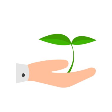 Beyaz arka planda tasarım nesnesi için palmiye temiz bitki tarım ve doğa konsepti logosu üzerinde yeşil filiz