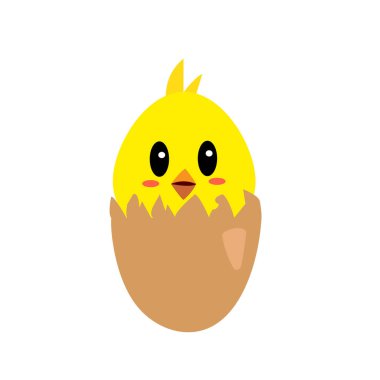 Beyaz bir arka plan ve hayvan konsepti üzerine yumurta kabuğu bir nesnenin içinde oturan sevimli tavuk çizgi film karakteri portresi