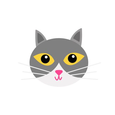 Büyük turuncu gözlü gri bir kedinin ağzı dünya çapında popüler güzel bir evcil hayvandır.