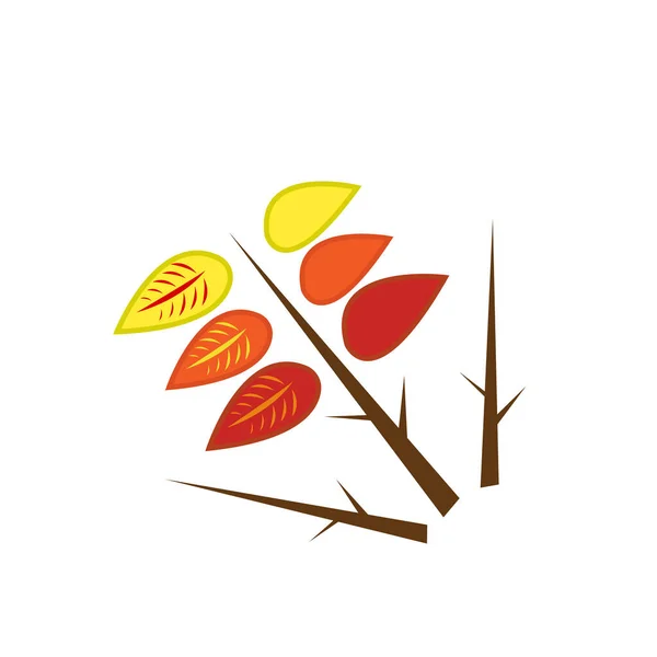 Красочные Осенние Листья Острой Деревянной Ветке Логотипа Природных Узоров Дизайна — стоковый вектор