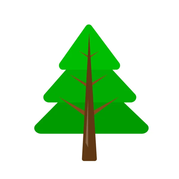 Ερυθρελάτη Δέντρο Πράσινο Κορυφή Καφέ Μακρύ Κορμό Και Αιχμηρά Κλαδιά — Διανυσματικό Αρχείο