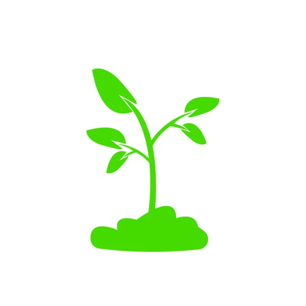 Φυτρώνουν Στο Έδαφος Φυσικό Λογότυπο Για Σχεδιασμό Έννοια Της Οικολογίας — Διανυσματικό Αρχείο