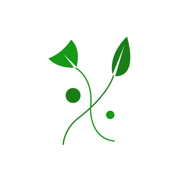 Logotipo Natural Flor Germinado Objeto Para Concepto Jardinería Diseño — Vector de stock