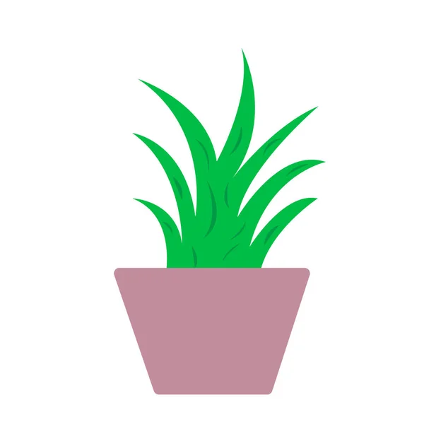Plante Dans Pot Sur Fond Blanc Objet Conception Concept Jardinage — Image vectorielle