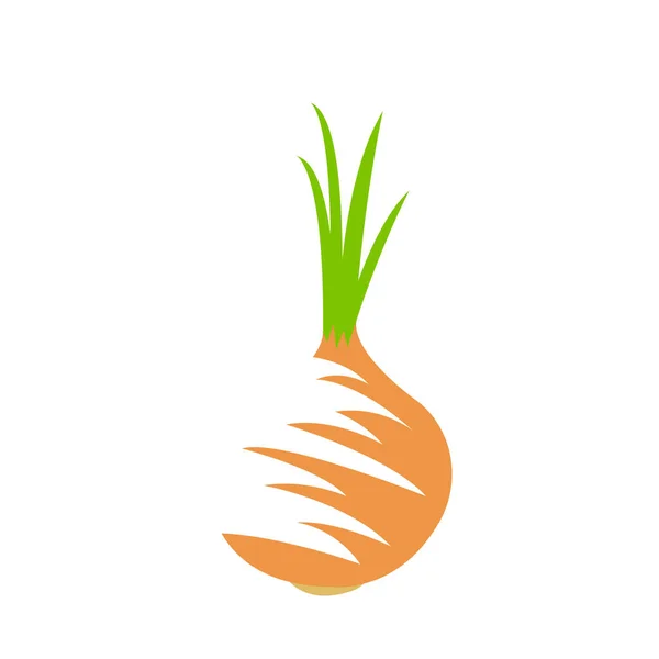 Λογότυπο Κρεμμύδι Λευκό Φόντο Δημοφιλή Λαχανικά Λευκό Φόντο Έννοια Των — Διανυσματικό Αρχείο