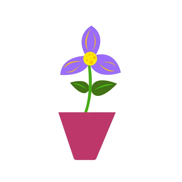 白を基調とした園芸コンセプトの鉢に3枚の紫色の花弁と橙色の模様の花を咲かせます — ストックベクタ