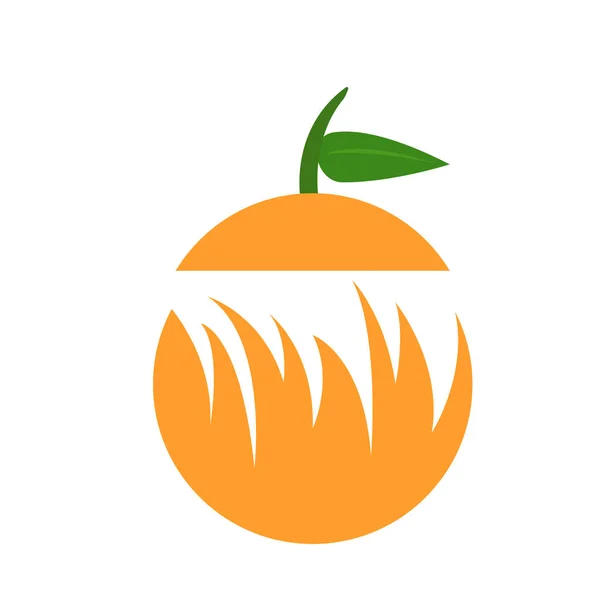 Oranžové Zdravé Tropické Ovoce Zeleným Listem Krásným Vzorem Objekt Bílém — Stockový vektor