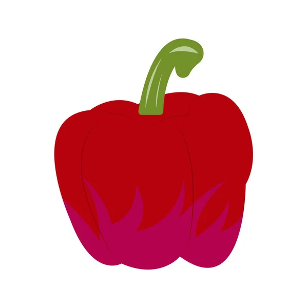Červená Paprika Zralé Zeleniny Bílém Pozadí Textury Detailní Koncept Potravin — Stockový vektor