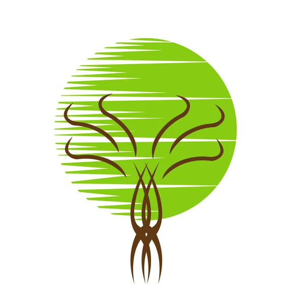 Waldbaum Natürliches Logo Mit Grünem Runden Kreisel Und Scheibenmuster Verflochten — Stockvektor