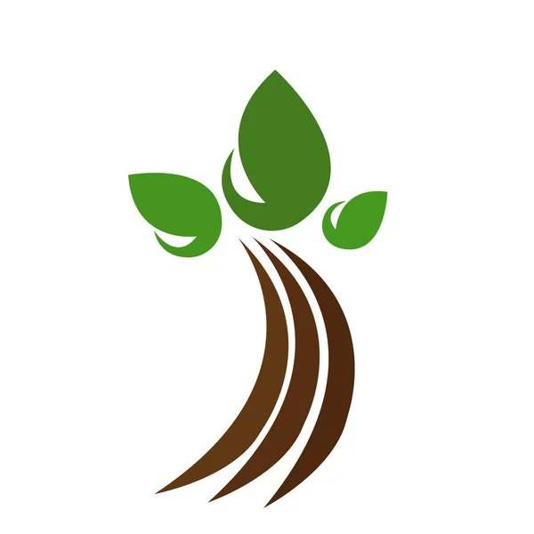 Boom Logo Met Grote Groene Bladeren Een Gebogen Bruine Stam — Stockvector