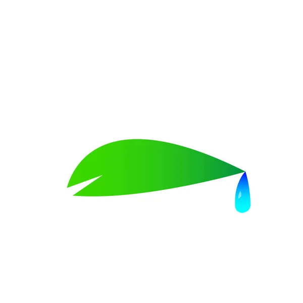 Groen Tekenfilmblad Met Een Druppel Water Aan Punt Natuurlijk Logo — Stockvector