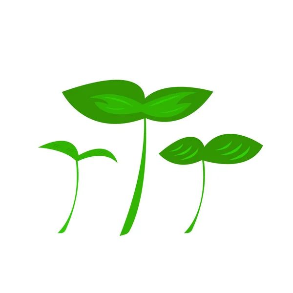 Σύνολο Λαχανάκια Πράσινα Φύλλα Αντικείμενα Λευκό Φόντο Έννοια Της Φύσης — Διανυσματικό Αρχείο