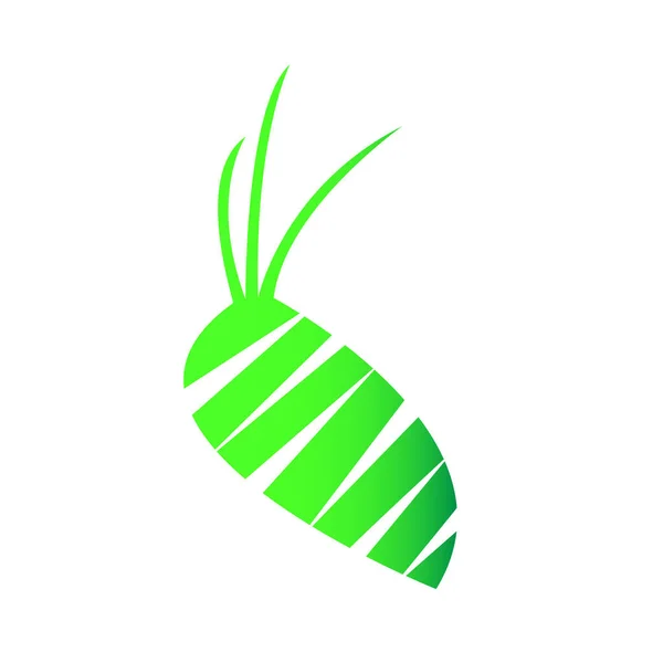 Groene Wortel Gesneden Gezonde Plantaardige Natuurlijke Logo Voedsel Vegetarisme Concept — Stockvector