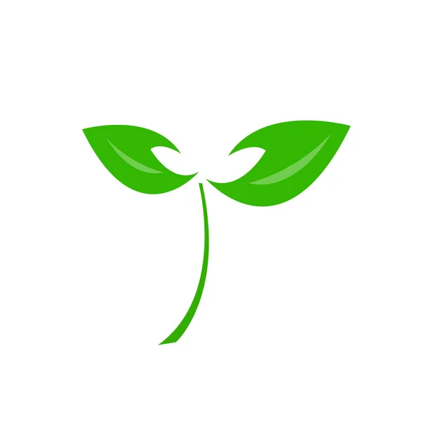 Natuurlijk Groen Sprout Logo Met Heldere Bladeren Dunne Stengel Concept — Stockvector