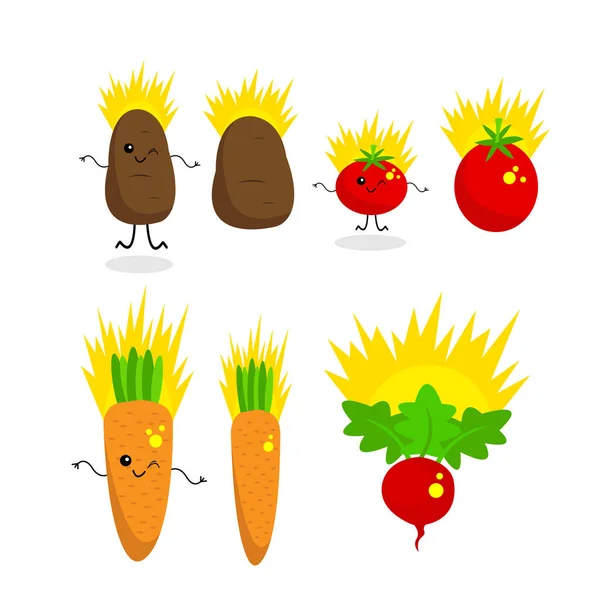 Conjunto Verduras Que Sol Naranja Brillante Ilumina Concepto Agricultura Objeto — Vector de stock