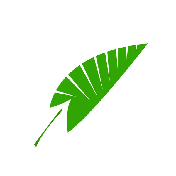 Natuurlijke Logo Groene Blad Een Witte Achtergrond Lente Zomer Concept — Stockvector