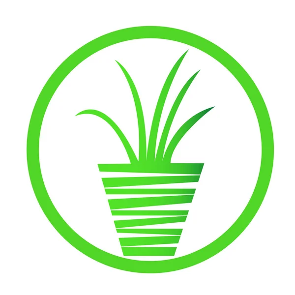 Groene Natuurlijke Logo Plant Een Pot Een Witte Achtergrond Concept — Stockvector