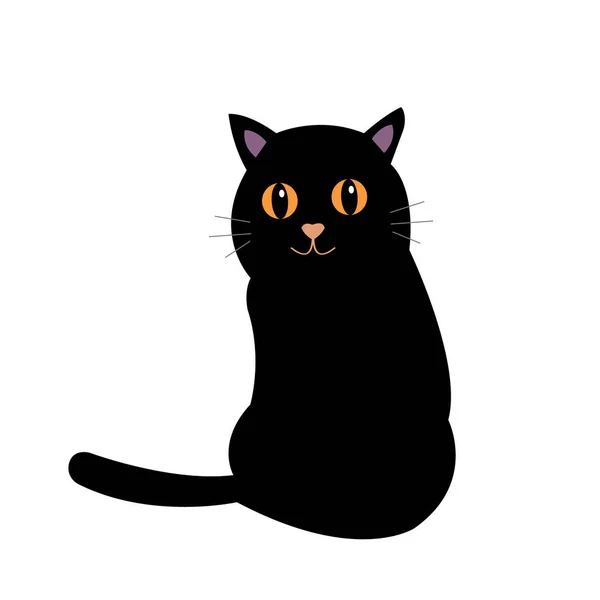 Preto Gato Com Espumante Laranja Olhos Senta Fundo Branco Animais — Vetor de Stock