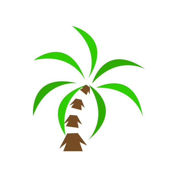 Palmera Con Logotipo Ramas Verdes Sobre Fondo Blanco Símbolo Planta — Vector de stock