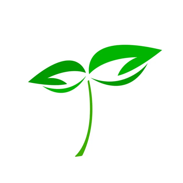 Sprout Groene Natuurlijke Logo Met Patronen Van Bladeren Een Dunne — Stockvector