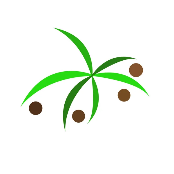 Logotipo Natural Hojas Palma Verde Marrón Ronda Cocos Dibujos Animados — Vector de stock