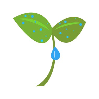 Filiz ve yağmur damlalarının çizgi film çizimi, vektör illüstrasyonu 