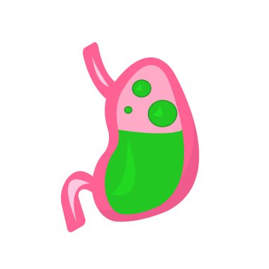 midenin çizgi film karakteri 