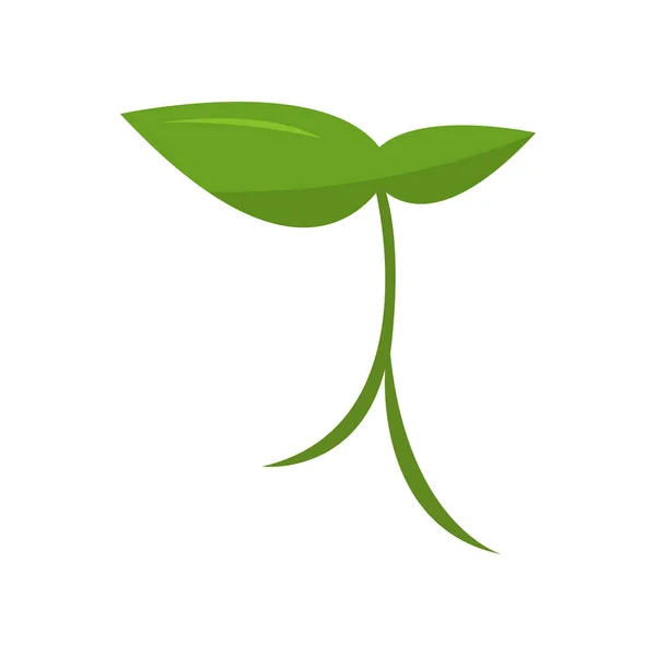 Απεικόνιση Ενός Νεαρού Φυτρώνουν Φυτό Λευκό Φόντο — Διανυσματικό Αρχείο
