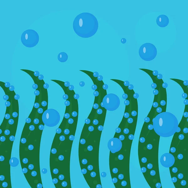 Vector Illustration Seaweed Bubbles — Vector de stock