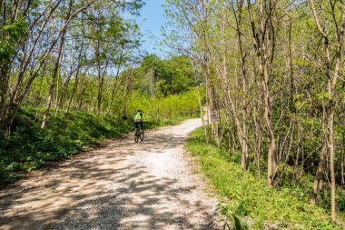 Bir adam ve bir kadın ormanda yürüyorlar.