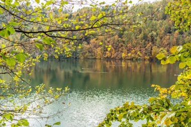 Ağaçlar ve yapraklarla dolu güzel sonbahar manzarası