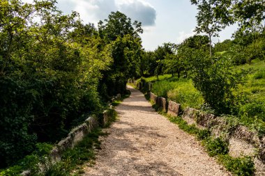 Parkın güzel manzarası