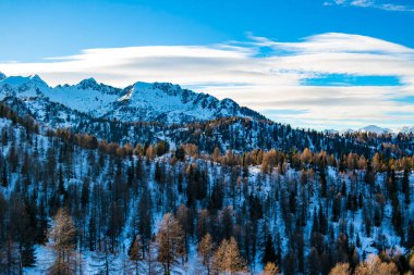 Karla kaplı ağaçlarla kaplı güzel kış manzarası