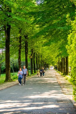 Ağaçlarla kaplı caddede yürüyen insanlar var. 20 Mayıs 2018 Camposampiero, Padova - İtalya