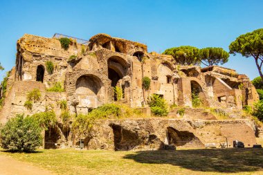 Roma 'daki Roma Forumu ve Palatine Tepesi' nin arkeolojik alanına bakın. Ağustos 2019 Roma, Lazio - İtalya