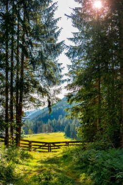 Dağların güzel manzarası