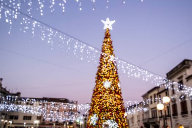 Süslemeleri ve çelenkleri olan Noel ağacı