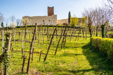 Montecchio Maggiore Kalesi, Vicenza - İtalya
